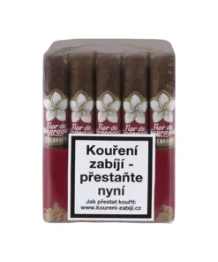 Flor de Nicaragua Robusto 1/20