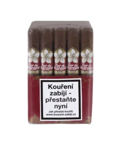 Flor de Nicaragua Toro 1/20