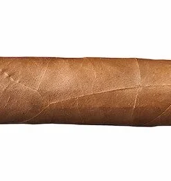 Buena Vista Zigarren Araperique Petit Corona