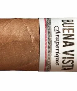 Buena Vista Zigarren Araperique Short Robusto