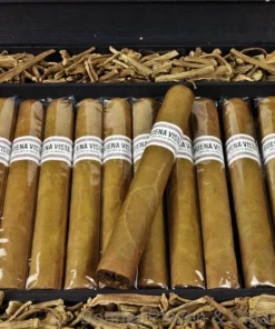 Buena Vista Zigarren Araperique Toro