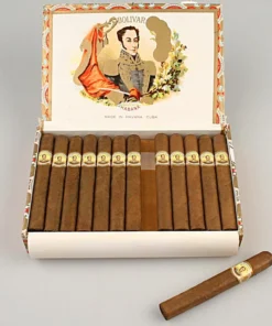 Bolivar Petit Coronas 1/25