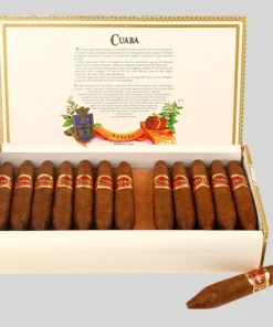 Cuaba Divinos 1/25
