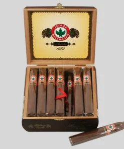 Joya de Nicaragua Antano 1970 Magnum 660 1/20