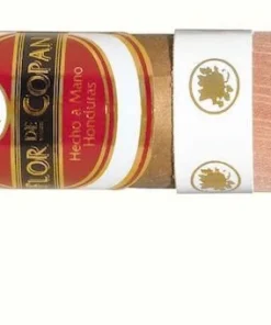 Flor de Copan Zigarren Short Robusto