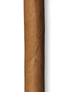Davidoff Zigarren Signature Ambassadrice