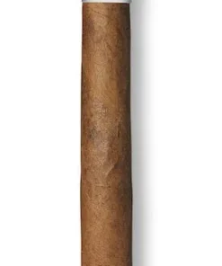 Davidoff Zigarren Signature Exquisitos