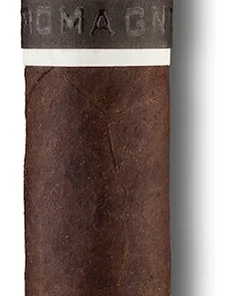 CroMagnon Zigarren Aquitaine Knuckle Dragger Petit Robusto 4 x 52