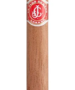 La Flor de Cano Zigarren Petit Corona