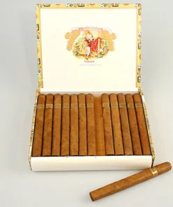 RyJ Churchills 1/25