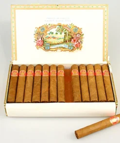 Saint Luis Rey Regios 1/25