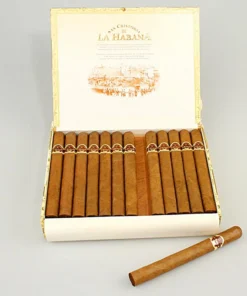 San Cristobal La Punta 1/25
