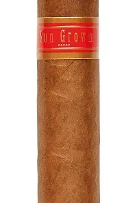 Rocky Patel Zigarren Sun Grown Toro