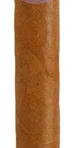 Rafael Gonzalez Zigarren Petit Corona