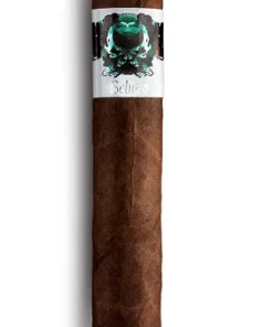 Asylum Zigarren Schizo Robusto