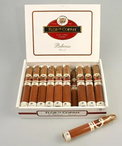 Flor De Copan Belicosos 1/20