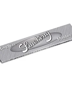 Smoking Regular Master Silber