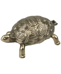 Ascher Metall Schildkröte