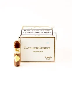 Cavalier Geneve White Medio 1/20