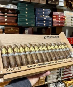 Cavalier Genève – BII Viso Jalapa – Tempura