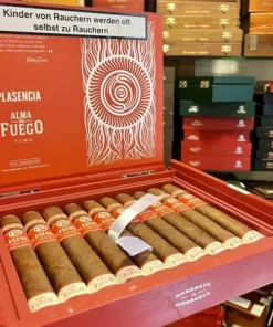 Plasencia – Alma del Fuego – Concepción – Toro