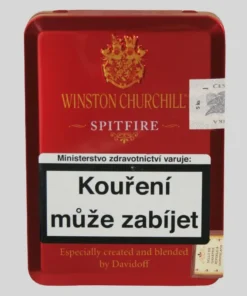 Winston Churchill Spitfire 5er