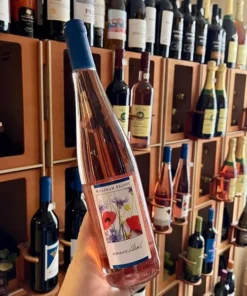 Deutschland – Weingut Wolfram Proppe – Rosé – “ unverblümt “ – trocken