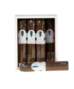 Gilbert de Montsalvat Signature Short Robusto 1/12