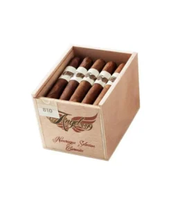 Angel 1899 – Nicaragua Selection – Coronita