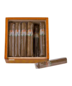 Villa Casdagli Robusto 1/12