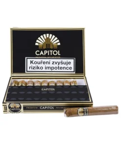 Capitol Casino 1/10