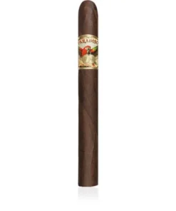 Paradiso – Classic – Monumento – Churchill