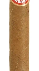 Quintero – Panetelas