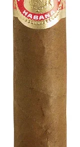 Saint Luis Rey – Regios