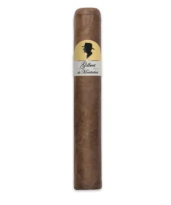 Gilbert – Revolution Style – Gordo