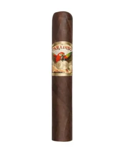 Paradiso Classico Robusto / 22er Kiste