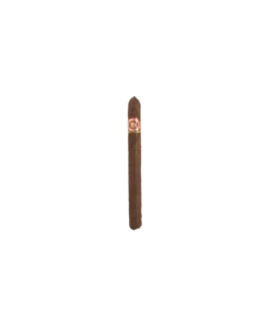 Arturo Fuente – Rainforest Delight Slim Panetela