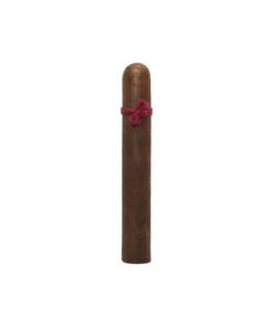 Nicarao – Furia Megaera