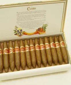 Cuaba Divinos / 25er Kiste