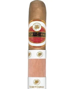 Flor de Copan Classic Short Robusto / 20er Kiste