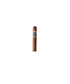 Inca Roca Robusto