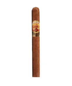 La Aurora 107 Nicaragua Churchill / 20er Kiste