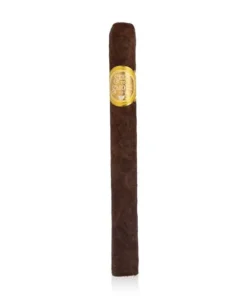 Rocky Patel Seed to Smoke Classic Churchill 10er Bundle