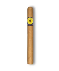 ‚Classic‘ Churchill