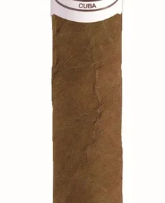 J. L. Piedra Zigarren Petit Cazadores (Schachtel á 25 Stück)