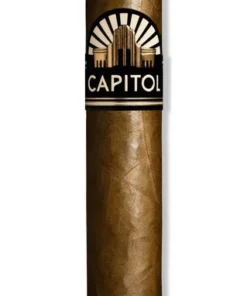 Diverse Zigarren Capitol Casino (Packung á 10 Stück)