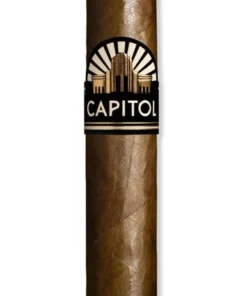 Diverse Zigarren Capitol Jack (Packung á 10 Stück)