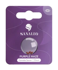 Sanaleo Cannabis Samen Purple Haze (3 Stück)