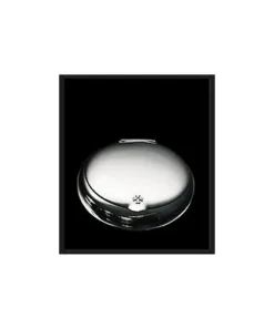 Sillems Tabakdose 3117, 1117