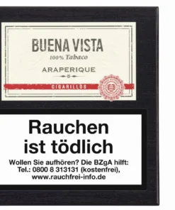 Buena Vista Zigarren Cigarillos No. 721 (5×20 Stück)